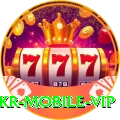 betpkr Mobile VIP