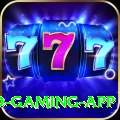 wt777 Gold Gaming App